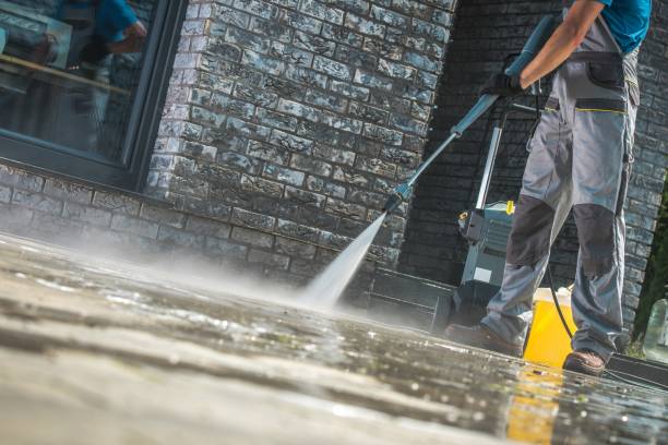 Animal Enclosure Cleaning in Sun City, AZ